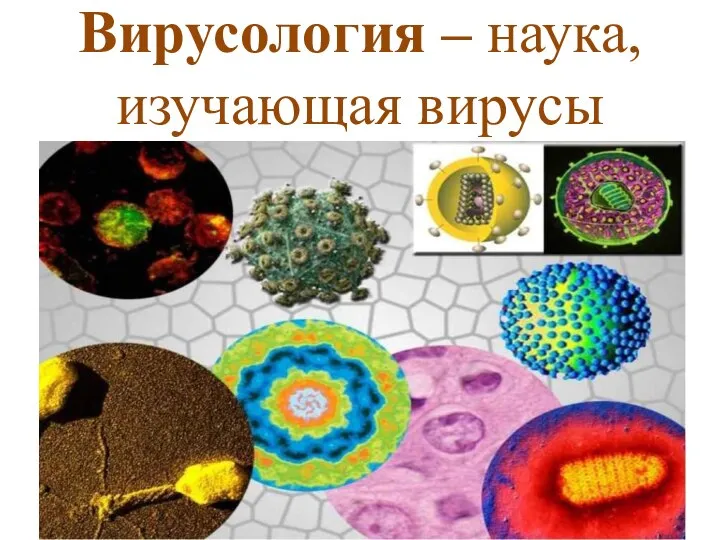 Вирусология – наука, изучающая вирусы