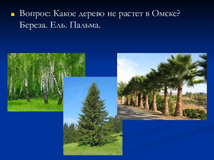 Вопрос: Какое дерево не растет в Омске? Береза. Ель. Пальма.