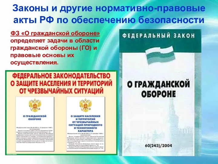 Законы и другие нормативно-правовые акты РФ по обеспечению безопасности ФЗ «О гражданской