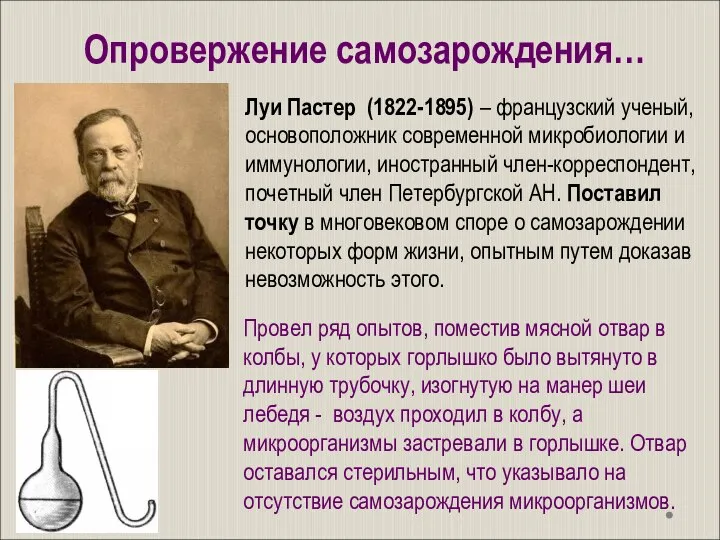 Провел ряд опытов, поместив мясной отвар в колбы, у которых горлышко было