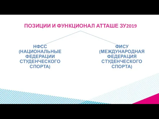 ПОЗИЦИИ И ФУНКЦИОНАЛ АТТАШЕ ЗУ2019 НФСС (НАЦИОНАЛЬНЫЕ ФЕДЕРАЦИИ СТУДЕНЧЕСКОГО СПОРТА) ФИСУ (МЕЖДУНАРОДНАЯ ФЕДЕРАЦИЯ СТУДЕНЧЕСКОГО СПОРТА)