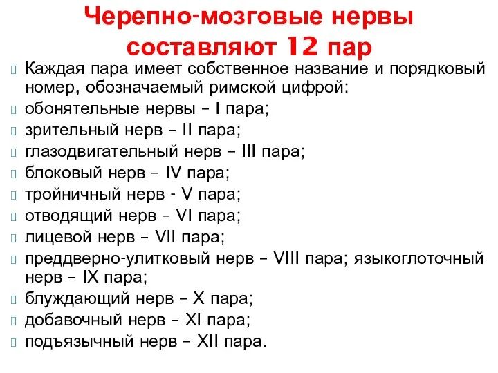 Каждая пара имеет собственное название и порядковый номер, обозначаемый римской цифрой: обонятельные