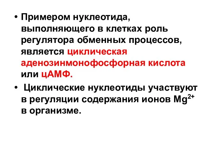 Примером нуклеотида, выполняющего в клетках роль регулятора обменных процессов, является циклическая аденозинмонофосфорная