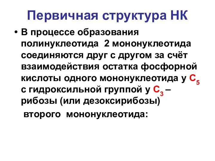 Первичная структура НК В процессе образования полинуклеотида 2 мононуклеотида соединяются друг с