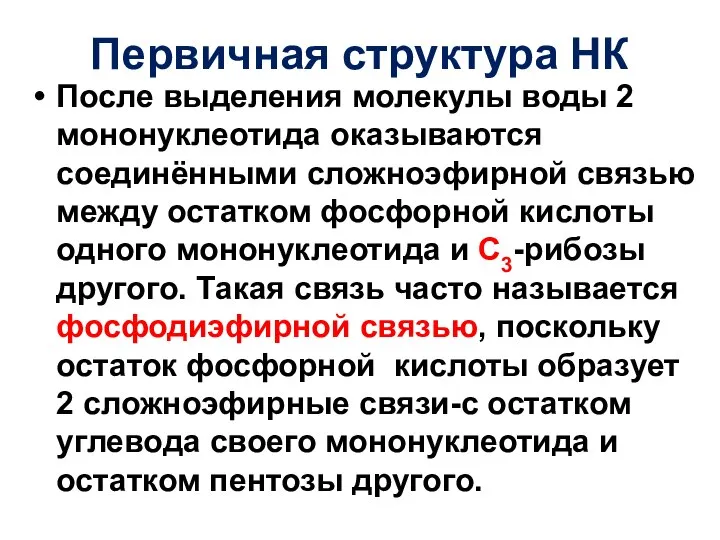 Первичная структура НК После выделения молекулы воды 2 мононуклеотида оказываются соединёнными сложноэфирной