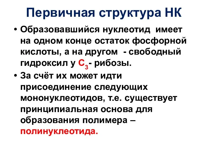 Первичная структура НК Образовавшийся нуклеотид имеет на одном конце остаток фосфорной кислоты,