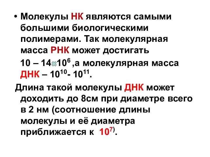 Молекулы НК являются самыми большими биологическими полимерами. Так молекулярная масса РНК может