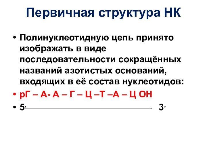 Первичная структура НК Полинуклеотидную цепь принято изображать в виде последовательности сокращённых названий