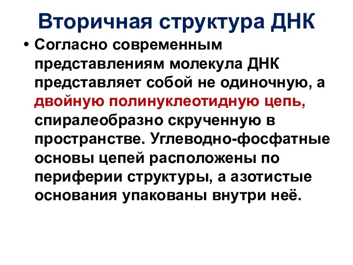 Вторичная структура ДНК Согласно современным представлениям молекула ДНК представляет собой не одиночную,