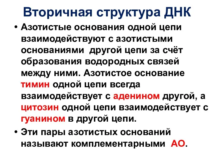 Вторичная структура ДНК Азотистые основания одной цепи взаимодействуют с азотистыми основаниями другой