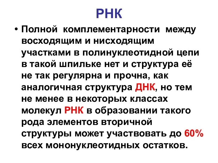 РНК Полной комплементарности между восходящим и нисходящим участками в полинуклеотидной цепи в