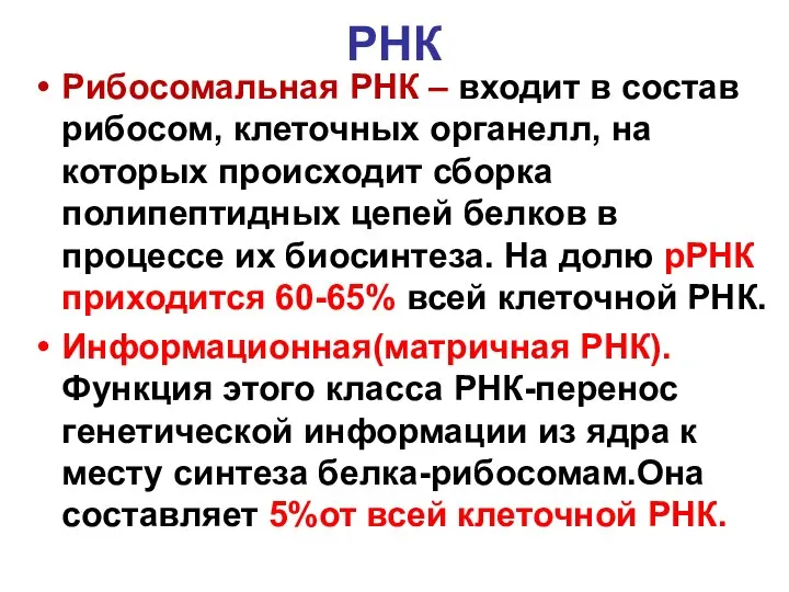 РНК Рибосомальная РНК – входит в состав рибосом, клеточных органелл, на которых