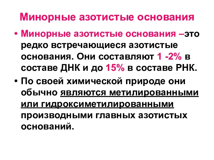 Минорные азотистые основания Минорные азотистые основания –это редко встречающиеся азотистые основания. Они