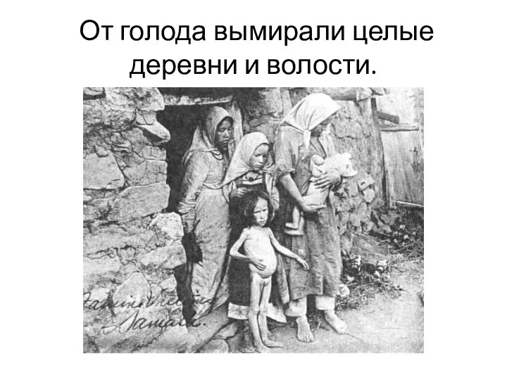 От голода вымирали целые деревни и волости.