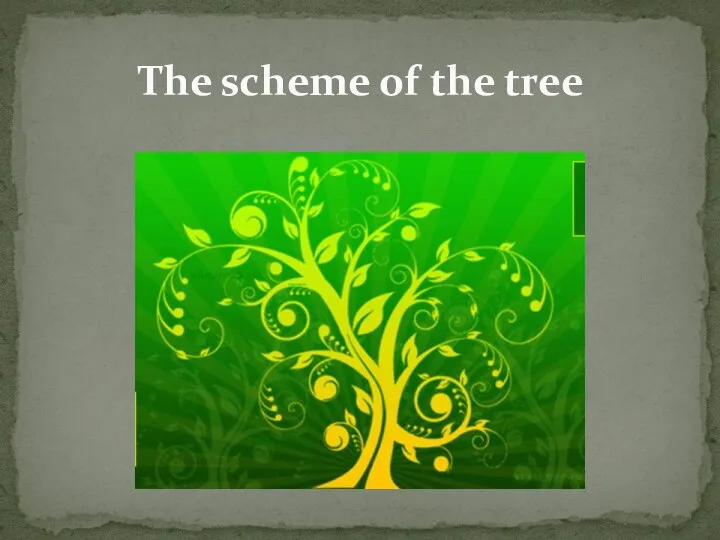 The scheme of the tree