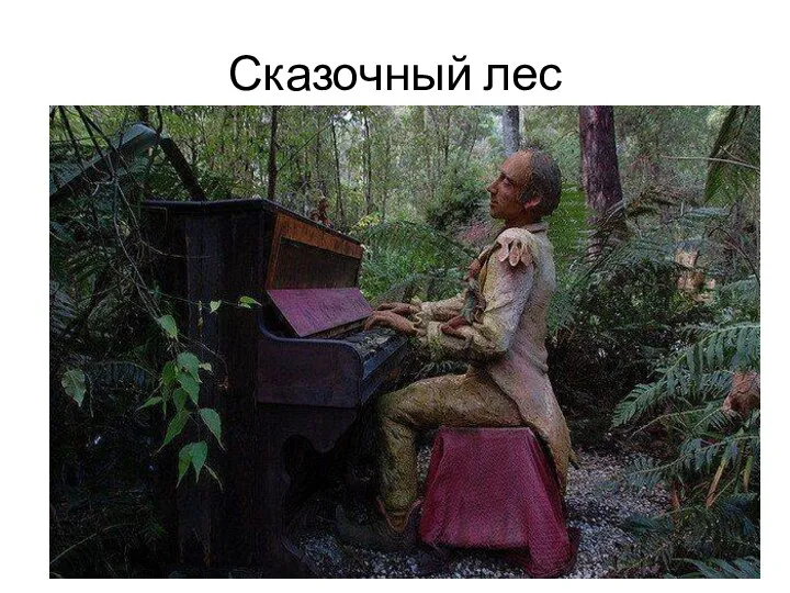 Сказочный лес