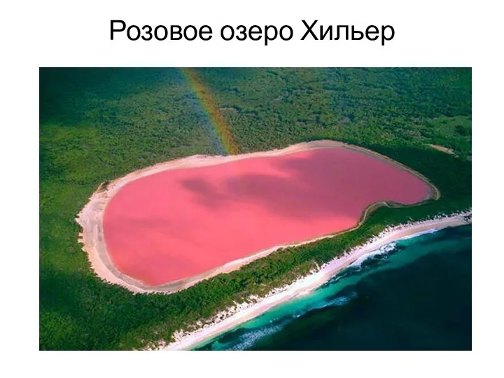 Розовое озеро Хильер