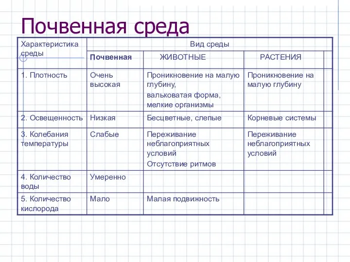 Почвенная среда