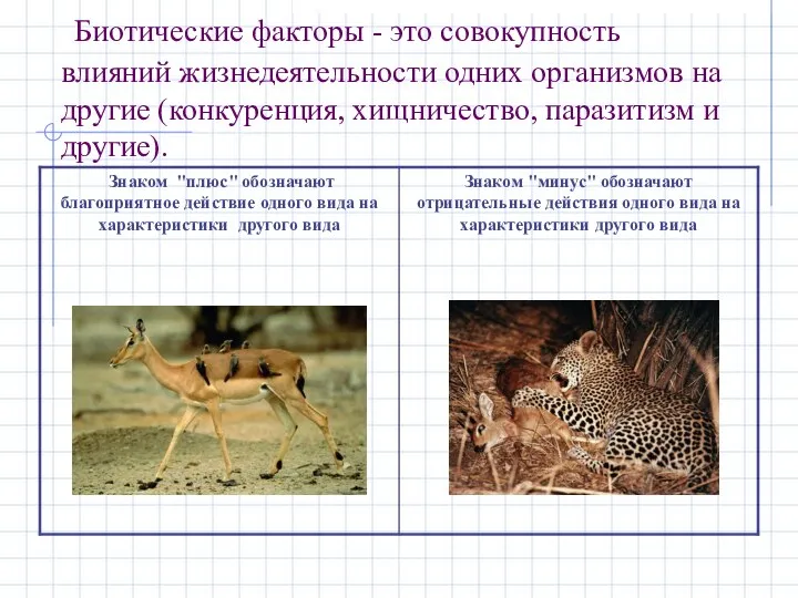 Биотические факторы - это совокупность влияний жизнедеятельности одних организмов на другие (конкуренция, хищничество, паразитизм и другие).