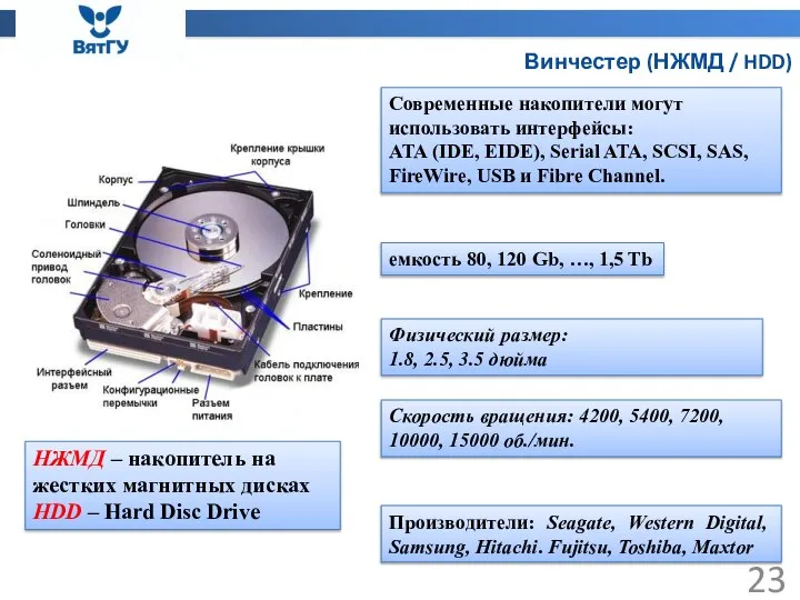 Винчестер (НЖМД / HDD) НЖМД – накопитель на жестких магнитных дисках HDD