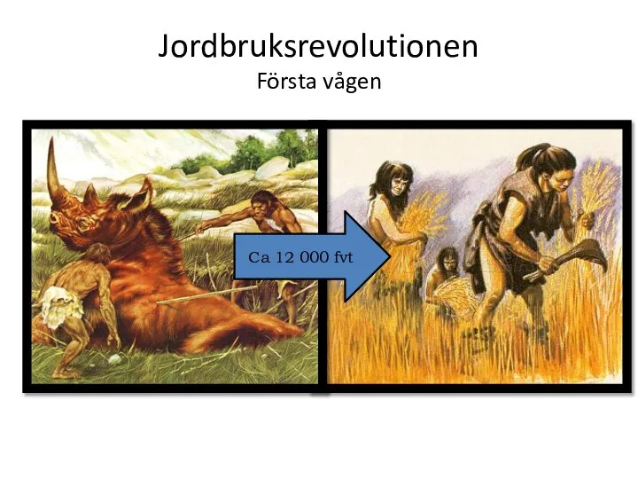 Jordbruksrevolutionen Första vågen Ca 12 000 fvt