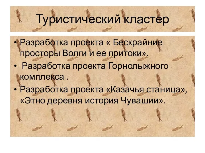 Туристический кластер Разработка проекта « Бескрайние просторы Волги и ее притоки». Разработка