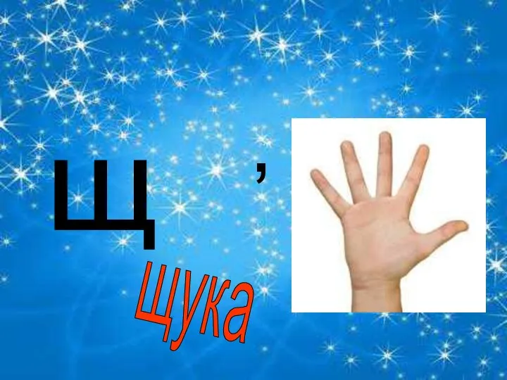 , щ щука