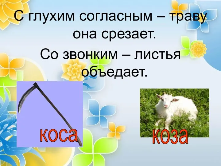 С глухим согласным – траву она срезает. Со звонким – листья объедает. коса коза