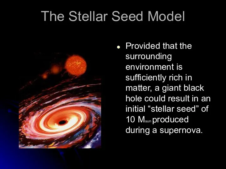 The Stellar Seed Model Provided that the surrounding environment is sufficiently rich