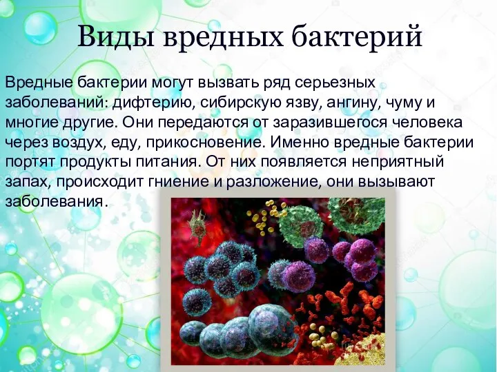 Виды вредных бактерий Вредные бактерии могут вызвать ряд серьезных заболеваний: дифтерию, сибирскую