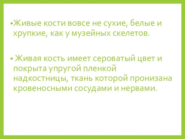 Живые кости вовсе не сухие, белые и хрупкие, как у музейных скелетов.