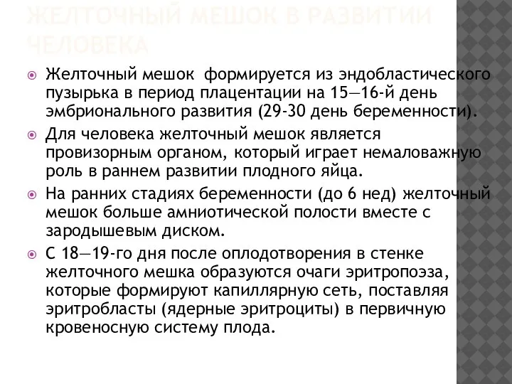 ЖЕЛТОЧНЫЙ МЕШОК В РАЗВИТИИ ЧЕЛОВЕКА Желточный мешок формируется из эндобластического пузырька в