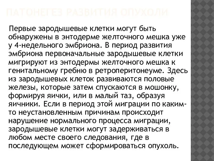 Первые зародышевые клетки могут быть обнаружены в энтодерме желточного мешка уже у