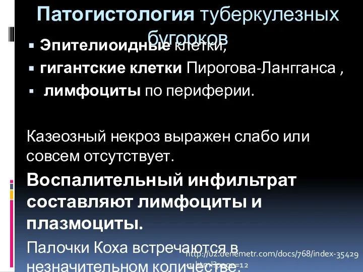 Патогистология туберкулезных бугорков Эпителиоидные клетки, гигантские клетки Пирогова-Лангганса , лимфоциты по периферии.