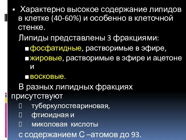 Характерно высокое содержание липидов в клетке (40-60%) и особенно в клеточной стенке.