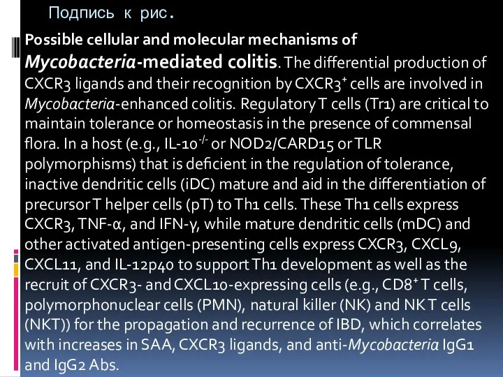Possible cellular and molecular mechanisms of Mycobacteria-mediated colitis. The differential production of