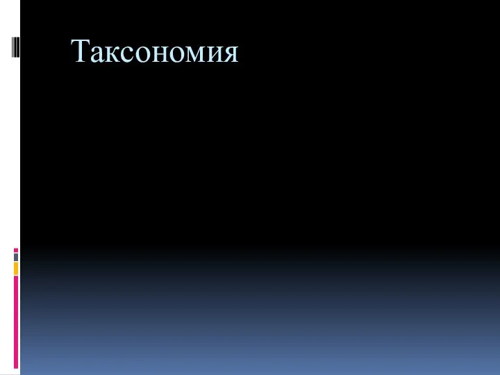 Таксономия