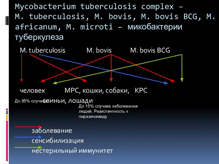 Mycobacterium tuberculosis complex – M. tuberculosis, M. bovis, M. bovis BCG, M.