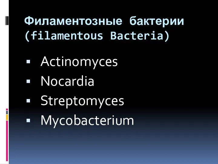 Филаментозные бактерии (filamentous Bacteria) Actinomyces Nocardia Streptomyces Mycobacterium