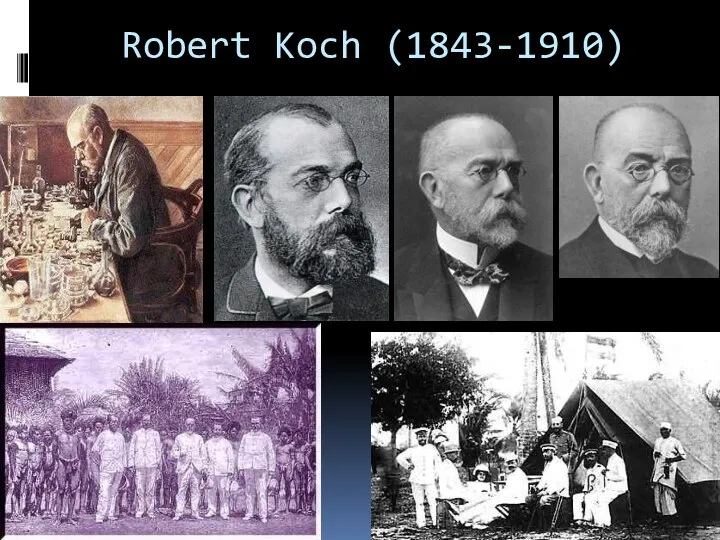 Robert Koch (1843-1910)