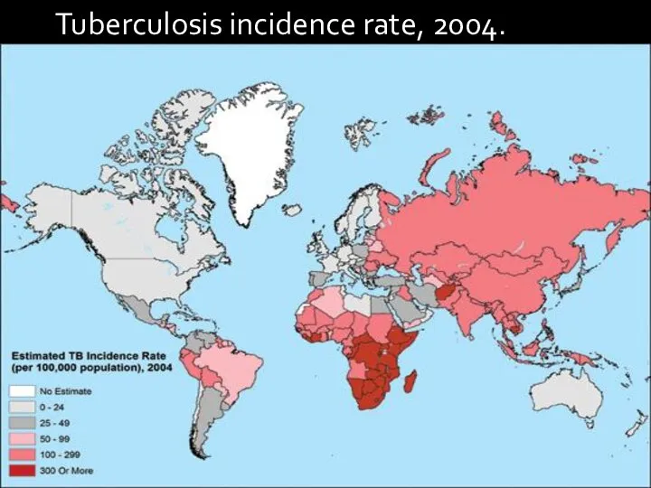 Tuberculosis incidence rate, 2004.