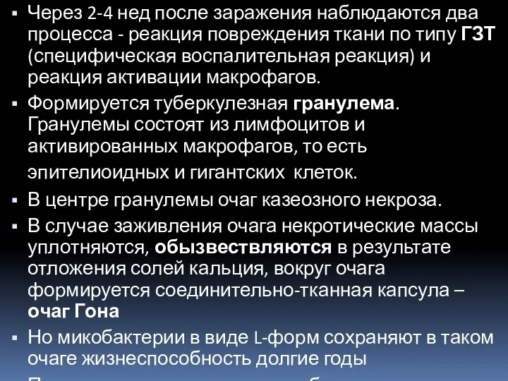 Через 2-4 нед после заражения наблюдаются два процесса - реакция повреждения ткани