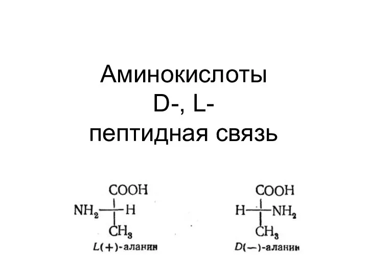 Аминокислоты D-, L- пептидная связь