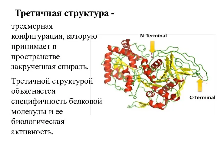 Третичная структура - трехмерная конфигурация, которую принимает в пространстве закрученная спираль. Третичной