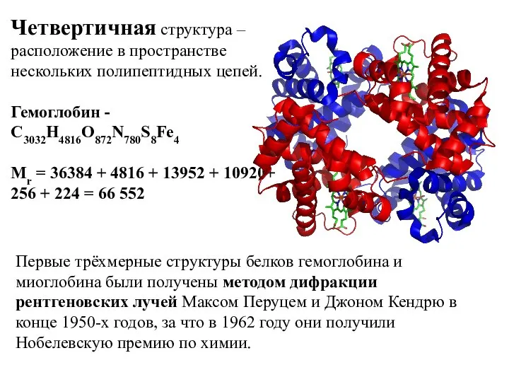 Четвертичная структура – расположение в пространстве нескольких полипептидных цепей. Гемоглобин - С3032H4816O872N780S8Fe4