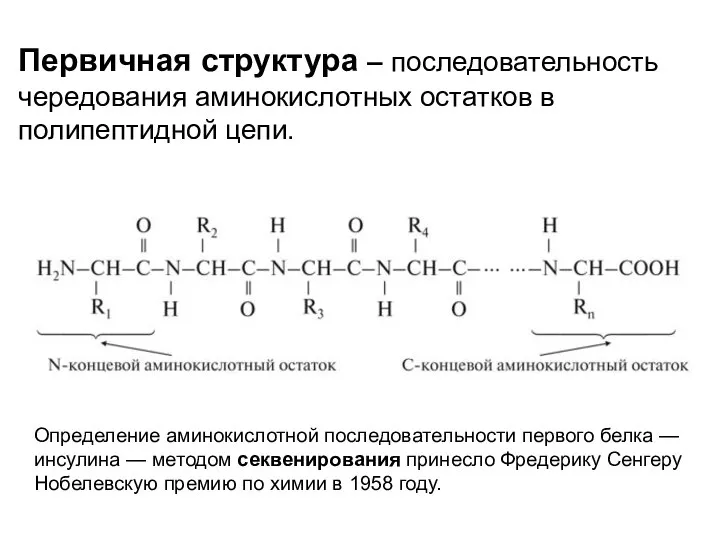 Первичная структура – последовательность чередования аминокислотных остатков в полипептидной цепи. Определение аминокислотной