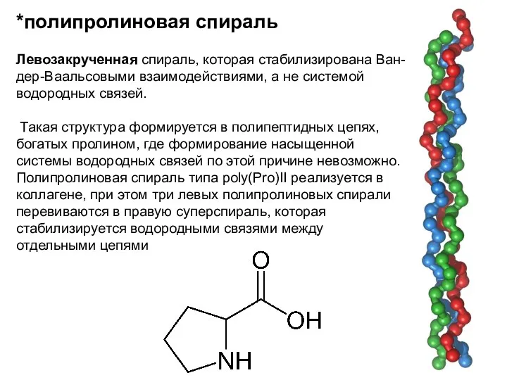 *полипролиновая спираль Левозакрученная спираль, которая стабилизирована Ван-дер-Ваальсовыми взаимодействиями, а не системой водородных