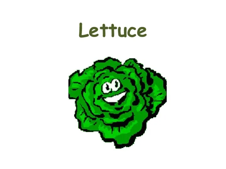 Lettuce