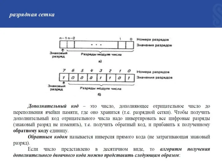 разрядная сетка