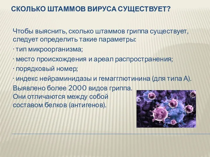 СКОЛЬКО ШТАММОВ ВИРУСА СУЩЕСТВУЕТ? Чтобы выяснить, сколько штаммов гриппа существует, следует определить